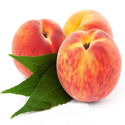 Elberta Peach tree seeds