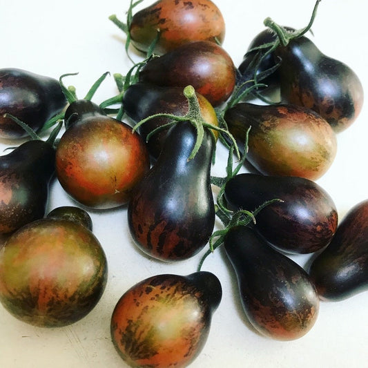 Blue Keyes Tomato Seeds • Dark Anthocyanin Pear Cherry • Open Pollinated • Modern Variety