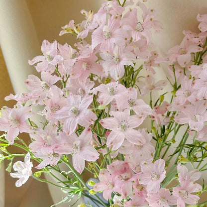 BUTTERFLY BUSH SEEDS