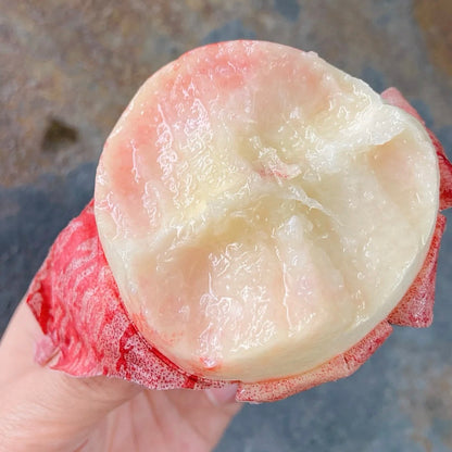 🍑 Longevity Peach Tree Seeds