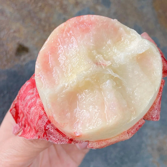 🍑 Longevity Peach Tree Seeds