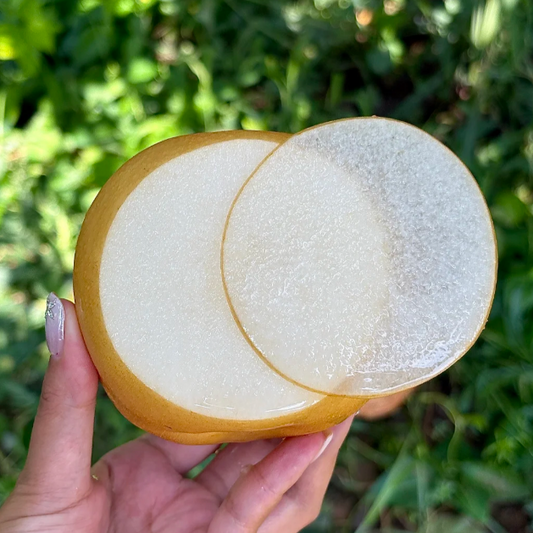 🍂Akizuki Pear Seeds-Big, sweet, and juicy🍐