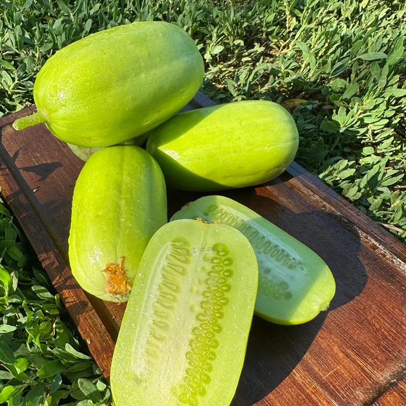 🌟 Jade Lady Cucumber Seeds🥒Refreshing, crisp and tender🍃the first choice for deliciousness!