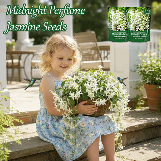 Midnight Perfume Jasmine Seeds – Winter Planting, Perennial Blooms & Fragrant Garden Elegance 🌸