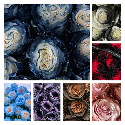 🌹Ecuadorian Roses - Rare Roses seeds