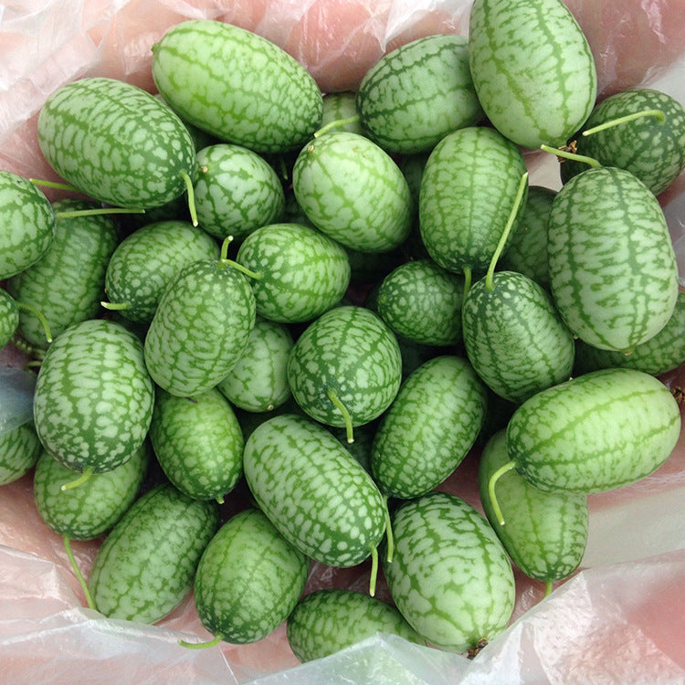 Thumb Watermelon Seeds 🍉