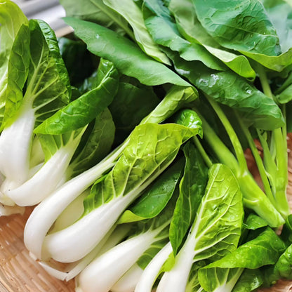 ALPINE BOK CHOY SEEDS