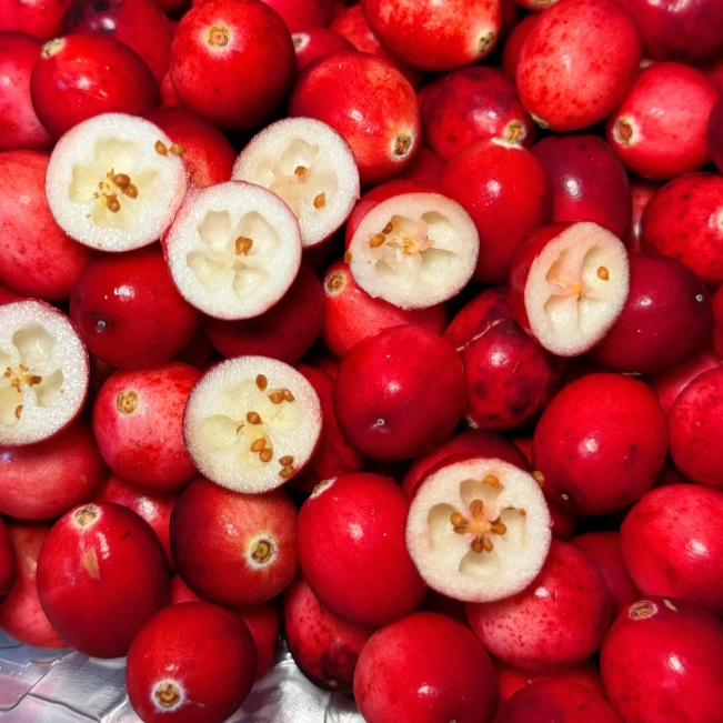 🍒 Premium Cranberry Seeds – Superfruit Treasure!