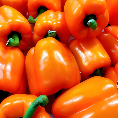 Sweet, Colorful Peppers: Plant the Seeds of Flavor