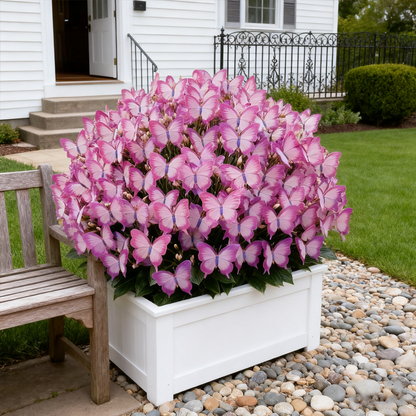 ✨Easy-to-Grow Seeds — Butterfly Blooms for a Living Garden