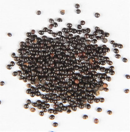 💥2025 Hot Sale 🧚 Rare colored Hosta Seeds Perennial Shade Plant for Garden