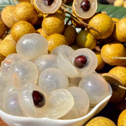 🍈 Grow Your Own Longan Tree – Fresh Seeds