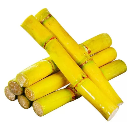 🌿🌱Winter Plantable – ✨High Germination Seeds (CP 72-2086) ✨ for Easy Home Gardens 🌿!