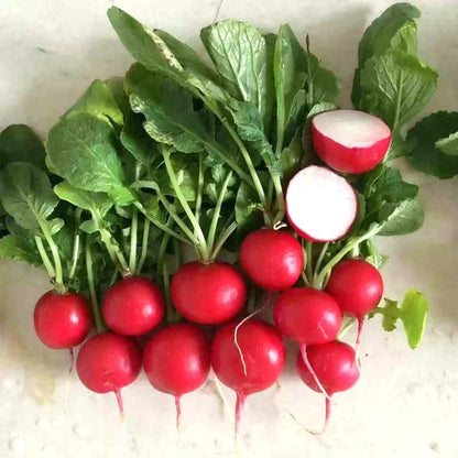 Radish Cherry Belle Seeds