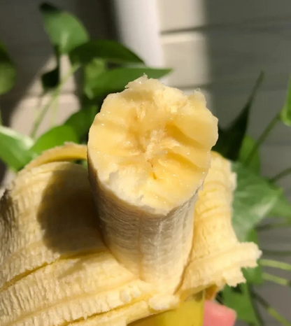 Dwarf Banana Seeds 🍌