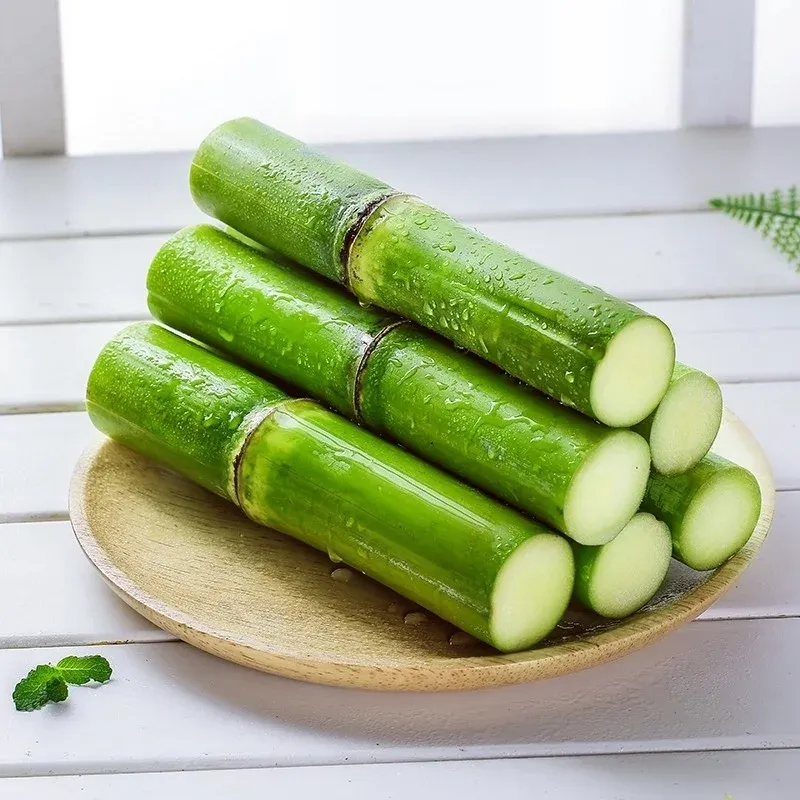 🌱 Grow Your Own Sugarcane – High Germination Seeds ✨ for Easy Home Gardens 🌿!