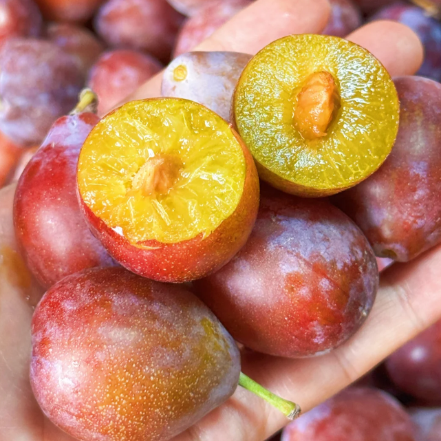 Lonicera Caerulea Fruit Seeds