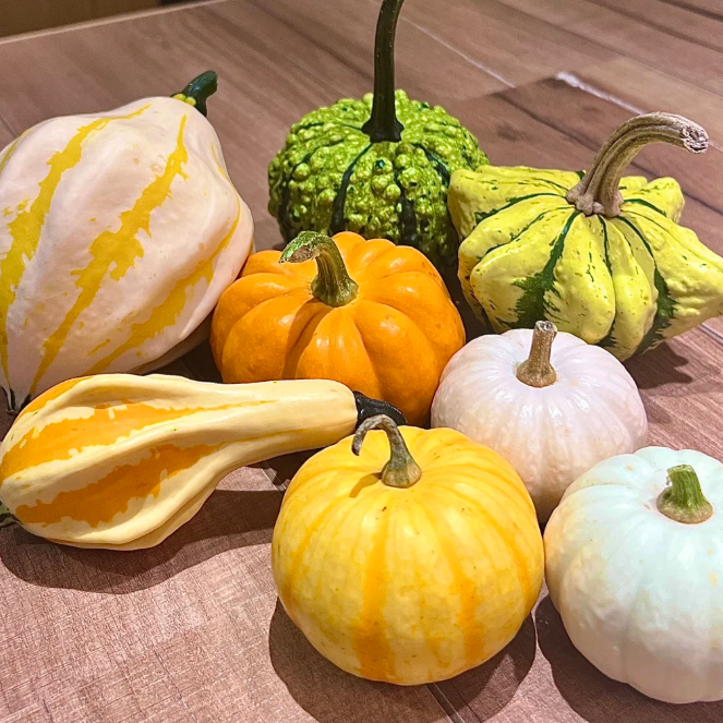 🎃 Mexican Gourd Pumpkin Seeds – Nature’s One-of-a-Kind Art!