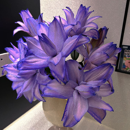 🌸Rare Lilies seeds