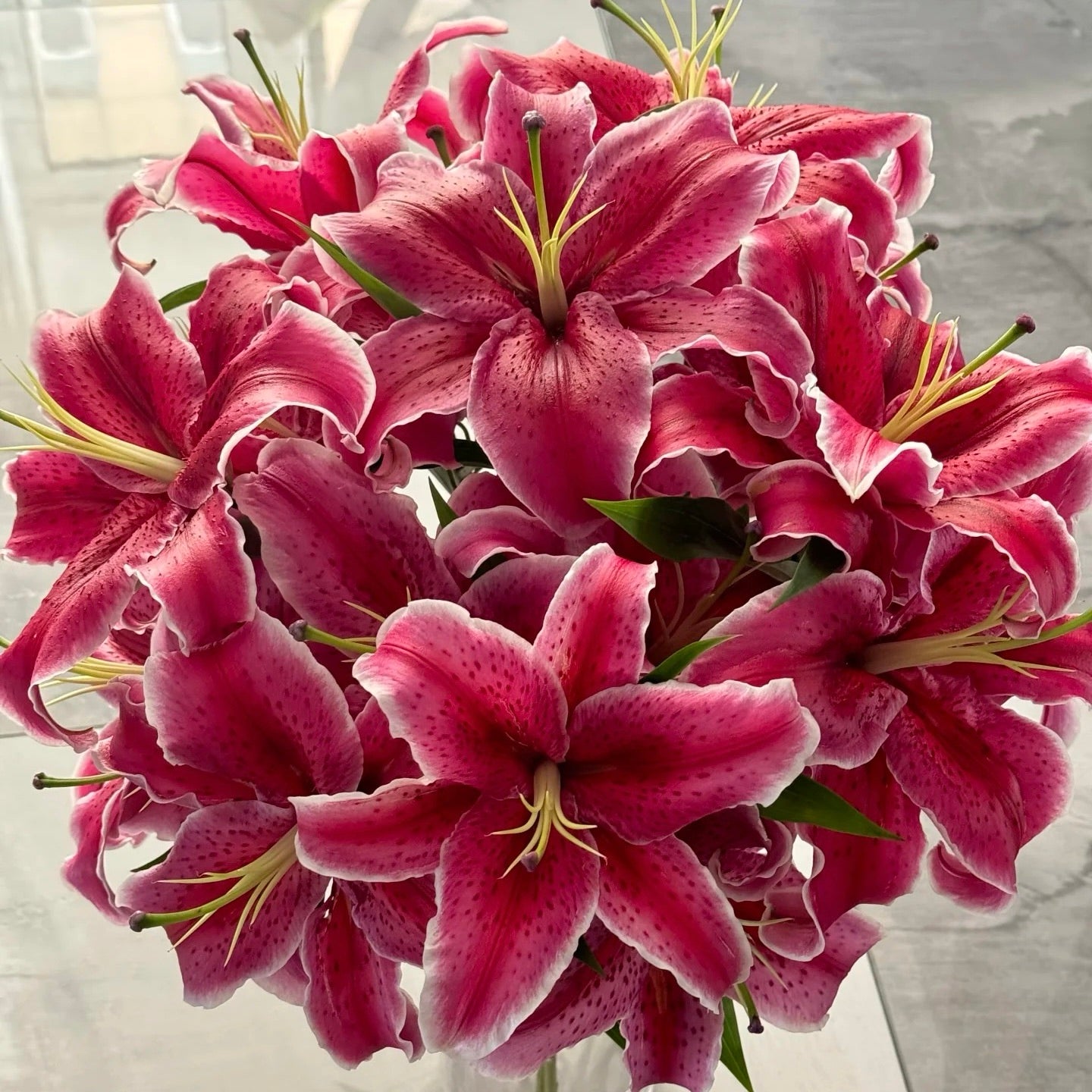 🌸Rare Lilies seeds