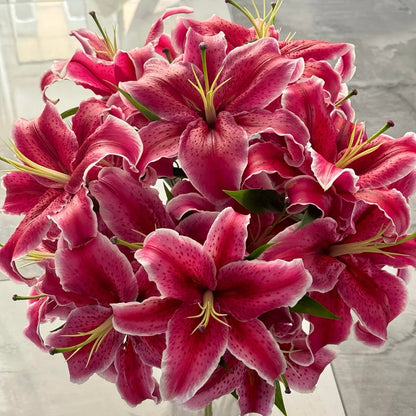 🌸Rare Lilies seeds