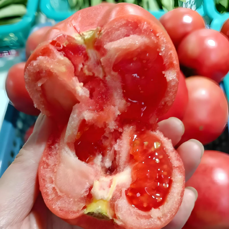 HEIRLOOM SANDY-FLESH TOMATO SEEDS🍅