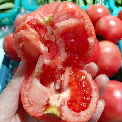 HEIRLOOM SANDY-FLESH TOMATO SEEDS🍅