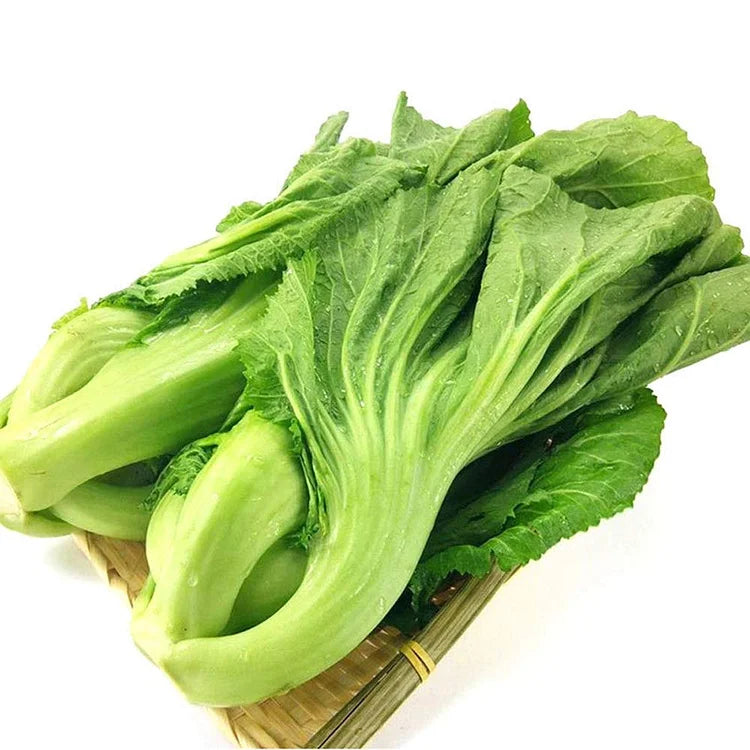 🥬LEAF MUSTARD SEEDS