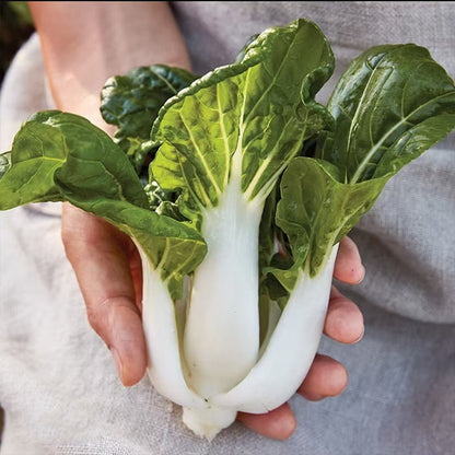 ALPINE BOK CHOY SEEDS