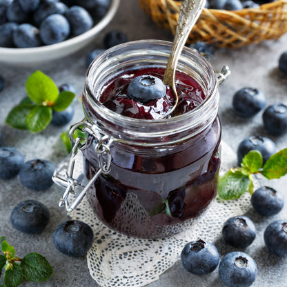 Sweet High BUSH Northern BLUEBERRY Heirloom NON-GMO USA SELLER!