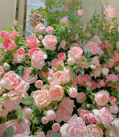 🔥Climbing Rose Seeds🌺