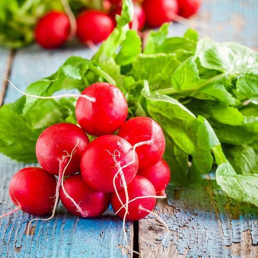 Radish Cherry Belle Seeds