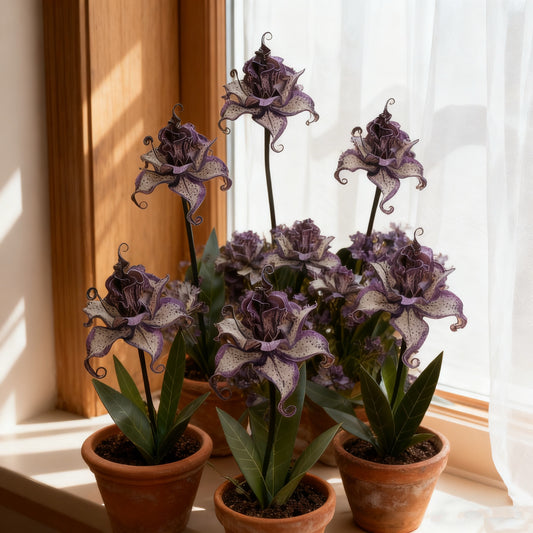 🌺 Whirling Dream Flower Bulbs – A Bloom Like a Breeze ✨