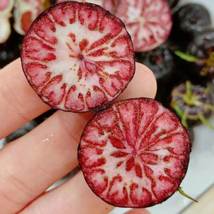🎉Small Version Of Pumpkin🎃-Red Ginseng Seeds🍅