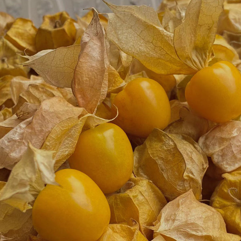 Creamy Maiden Fruit Seeds