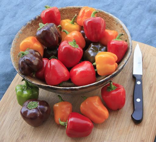 Pepper Mini Bell Chocolate Organic Seeds