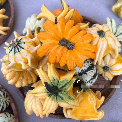 🎃 Mexican Gourd Pumpkin Seeds – Nature’s One-of-a-Kind Art!
