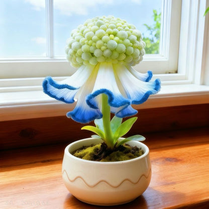 Whimsical Puff Ruffle Flower seeds – Soft Bloom Elegance