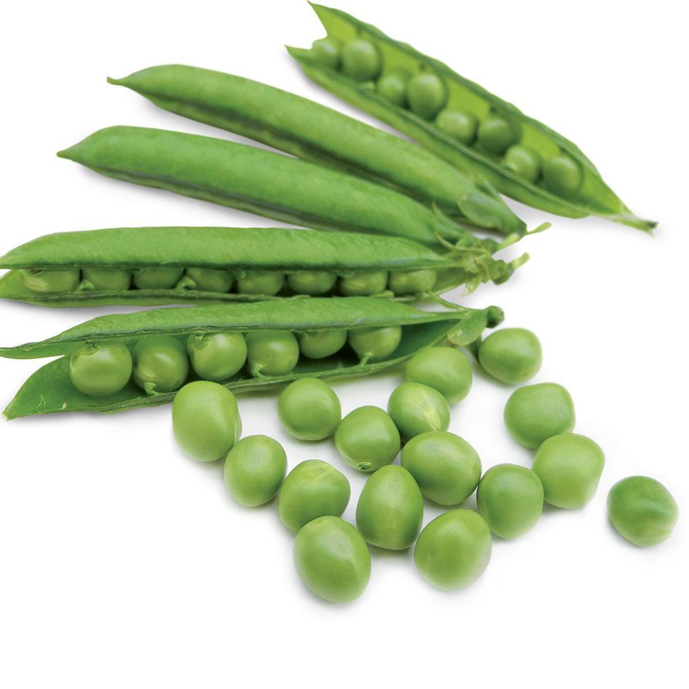 Pea Karina Organic