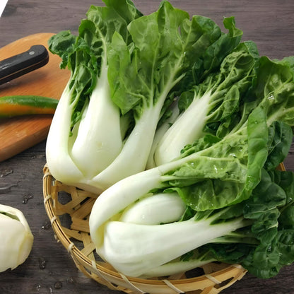 ALPINE BOK CHOY SEEDS