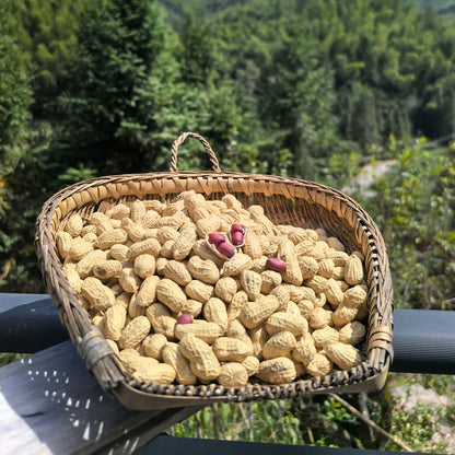 HIGH-YIELD & PREMIUM-QUALITY PEANUTS SEEDS