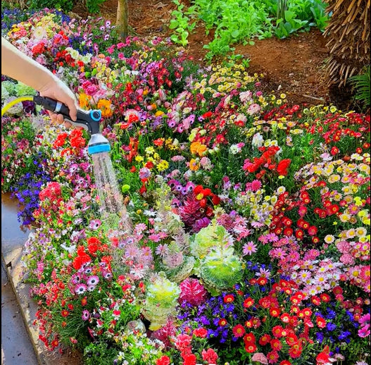 🔥Last day clearance💐Mixed Perennial Flowers Seeds-Over 60 kinds mixed