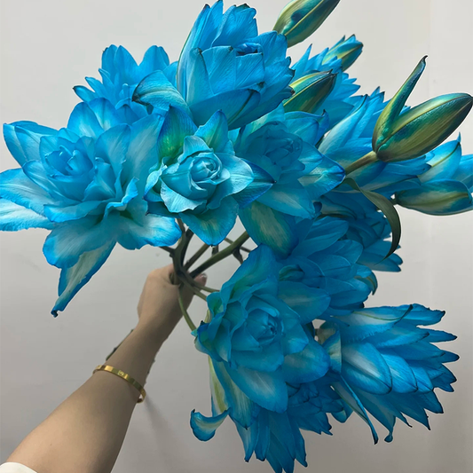 🌸Rare Lilies seeds