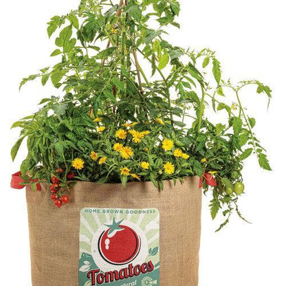 Garden Treasure Tomatoes