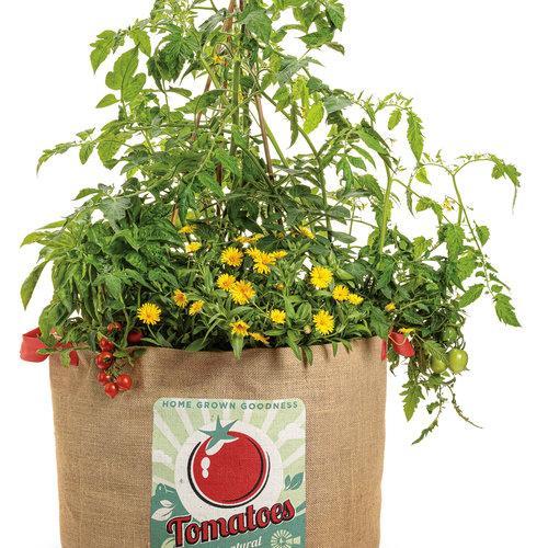 Tempting Tomatoes - Goodhearted