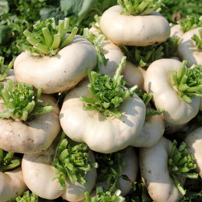 Jade Plate Vegetables Seeds