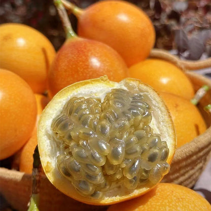 COLOMBIAN PASSION FRUIT SEEDS
