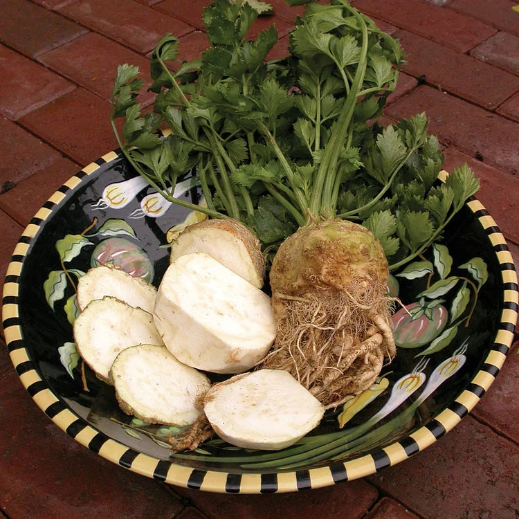 Celeriac Seeds Celery Root Seeds