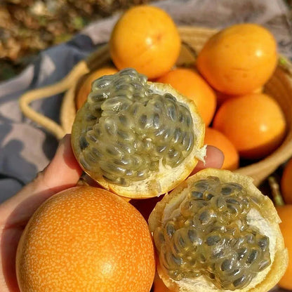 COLOMBIAN PASSION FRUIT SEEDS