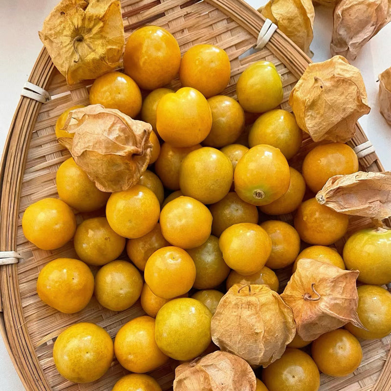 Creamy Maiden Fruit Seeds